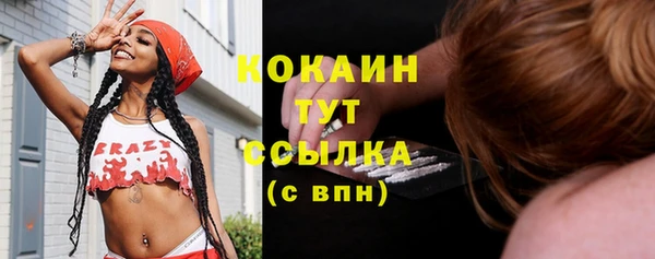 ПСИЛОЦИБИНОВЫЕ ГРИБЫ Абаза