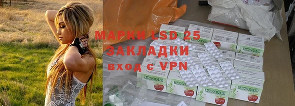 ПСИЛОЦИБИНОВЫЕ ГРИБЫ Абаза